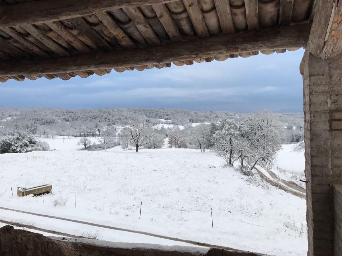 Mas Roca Del Mill Villa Perafita Buitenkant foto